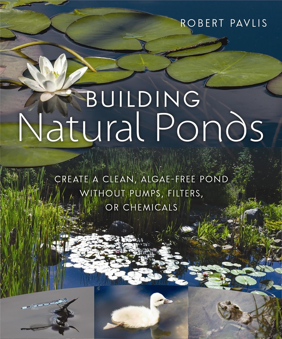 Algopix Similar Product 18 - Building Natural Ponds Create a Clean
