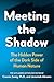 Algopix Similar Product 6 - Meeting the Shadow The Hidden Power of