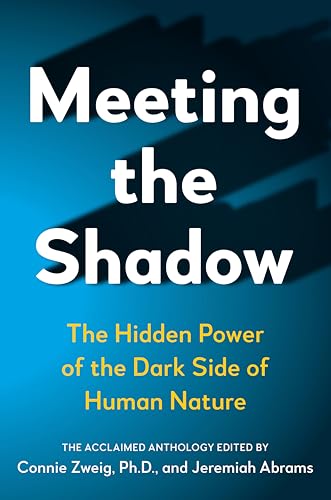 Algopix Similar Product 15 - Meeting the Shadow The Hidden Power of