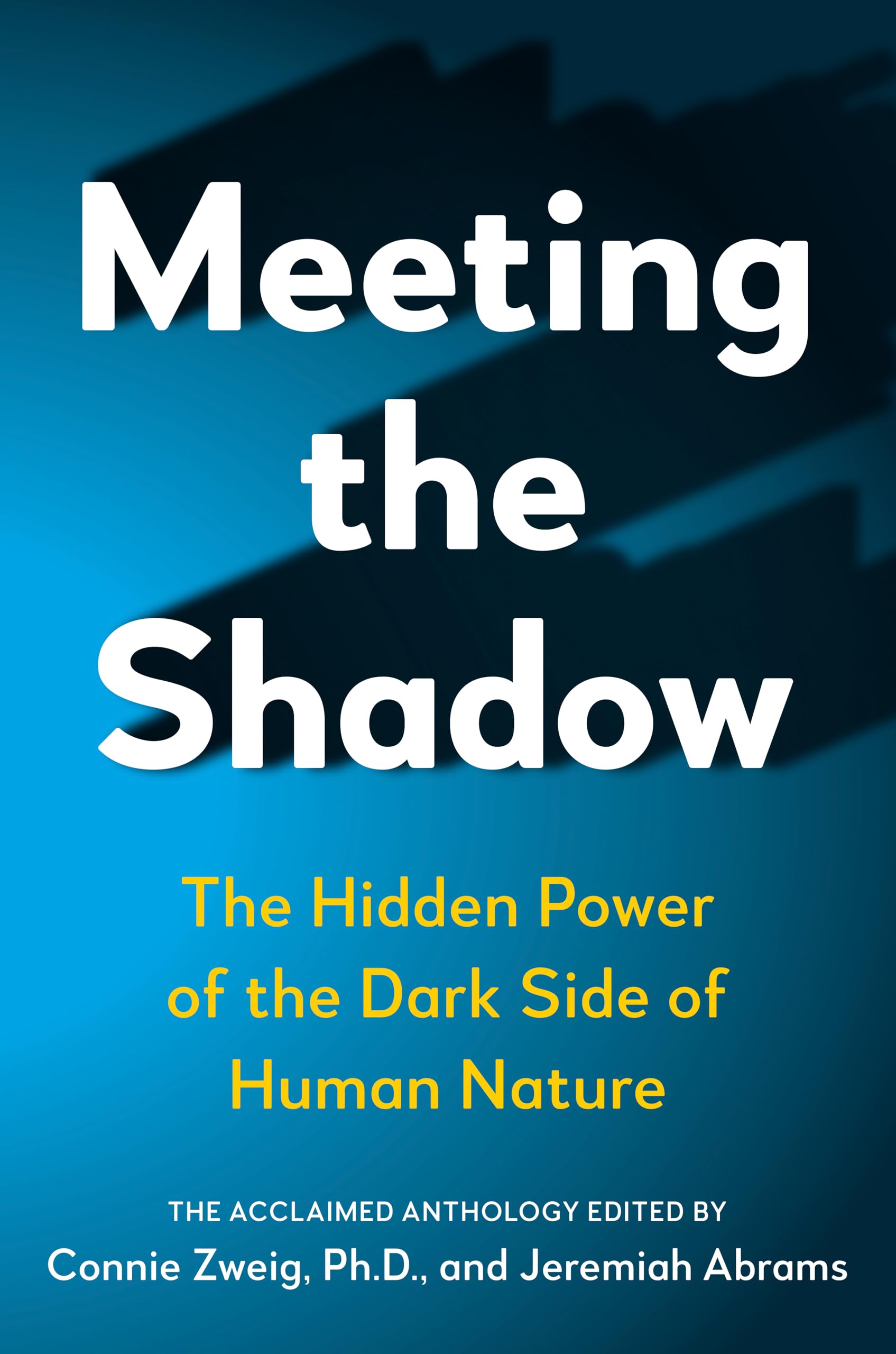 Algopix Similar Product 7 - Meeting the Shadow The Hidden Power of