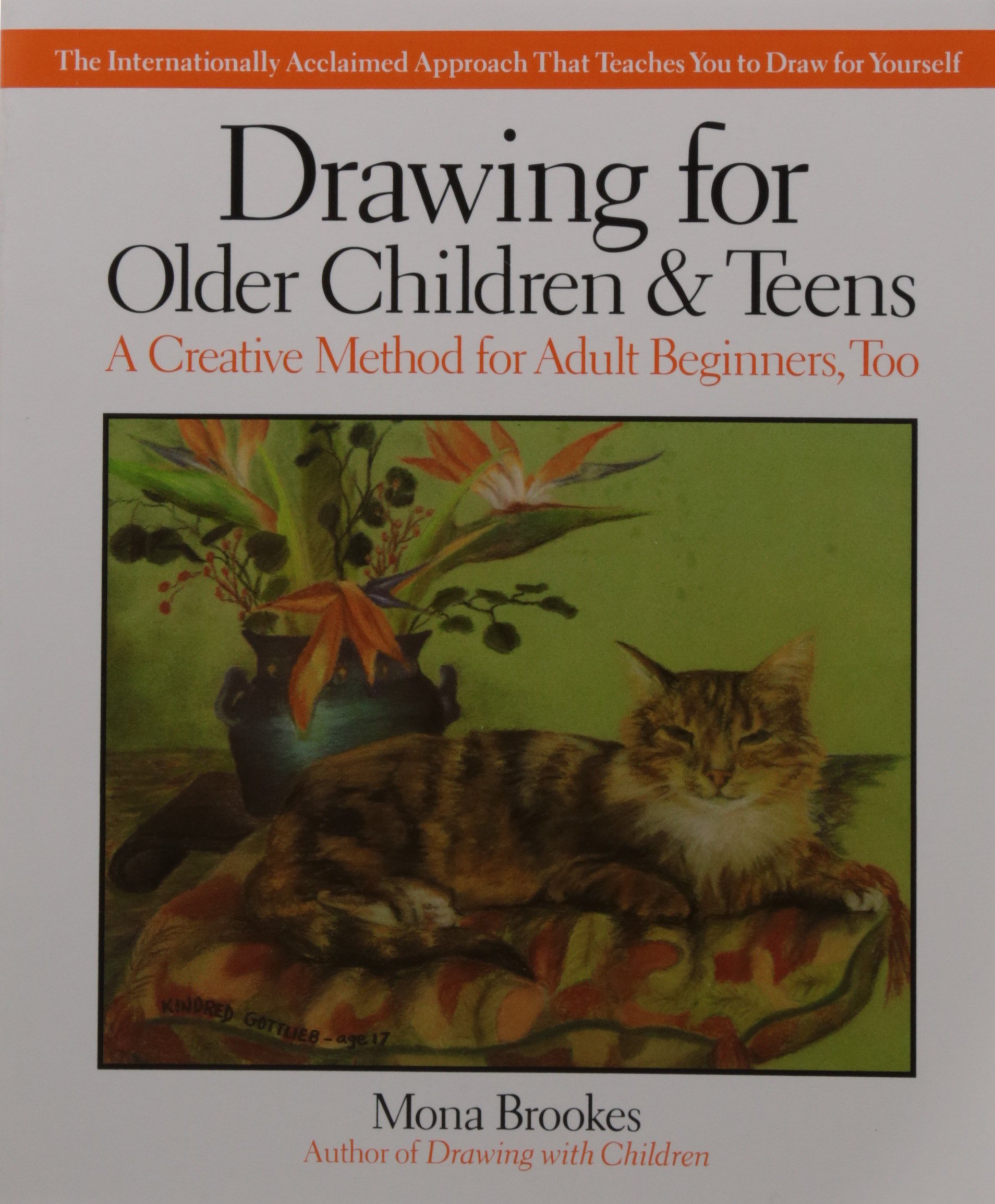 Algopix Similar Product 4 - Drawing for Older Children & Teens
