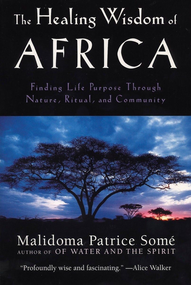 Algopix Similar Product 5 - The Healing Wisdom of Africa Finding