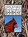 Algopix Similar Product 4 - The Backyard Bird Feeders Bible The