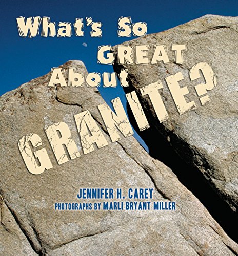 Algopix Similar Product 1 - Whats So Great About Granite Whats