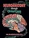 Algopix Similar Product 5 - Neuroanatomy through Clinical Cases