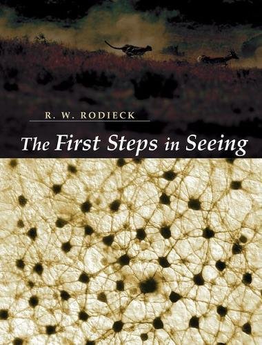 Algopix Similar Product 1 - The First Steps in Seeing