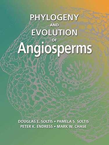Algopix Similar Product 13 - Phylogeny and Evolution of Angiosperms