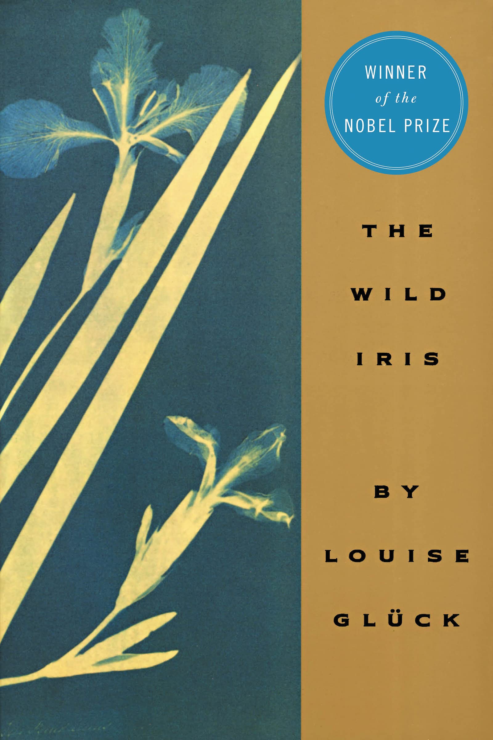 Algopix Similar Product 19 - The Wild Iris