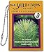 Algopix Similar Product 19 - Edible Wild Foods Playing Cards All