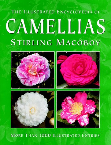 Algopix Similar Product 11 - The Illustrated Encyclopedia of