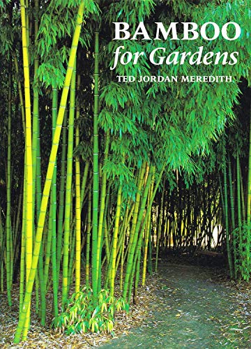 Algopix Similar Product 2 - Bamboo for Gardens