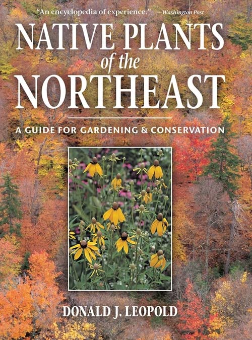 Algopix Similar Product 9 - Native Plants of the Northeast A Guide