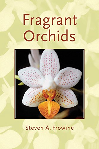 Algopix Similar Product 14 - Fragrant Orchids A Guide to Selecting
