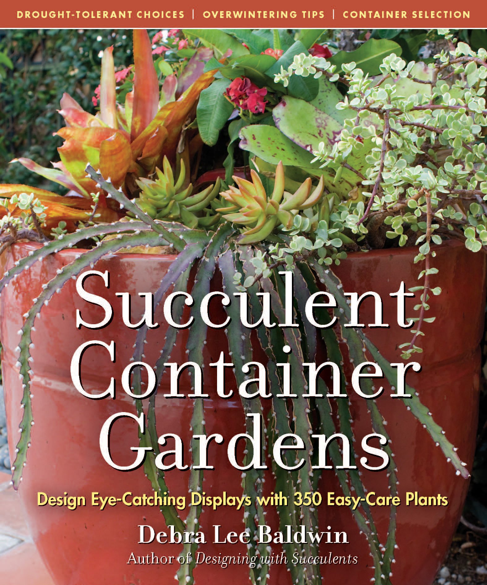 Algopix Similar Product 18 - Succulent Container Gardens Design