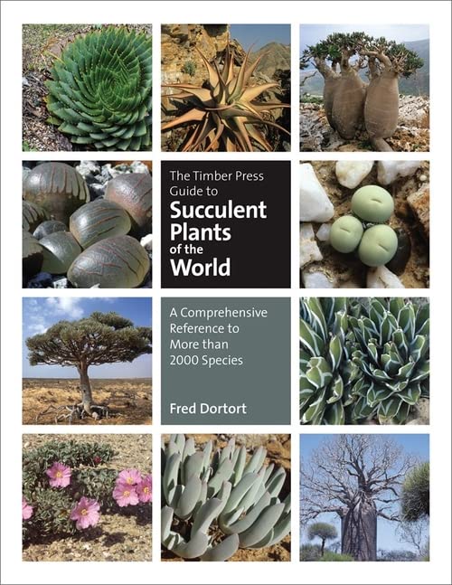 Algopix Similar Product 7 - The Timber Press Guide to Succulent
