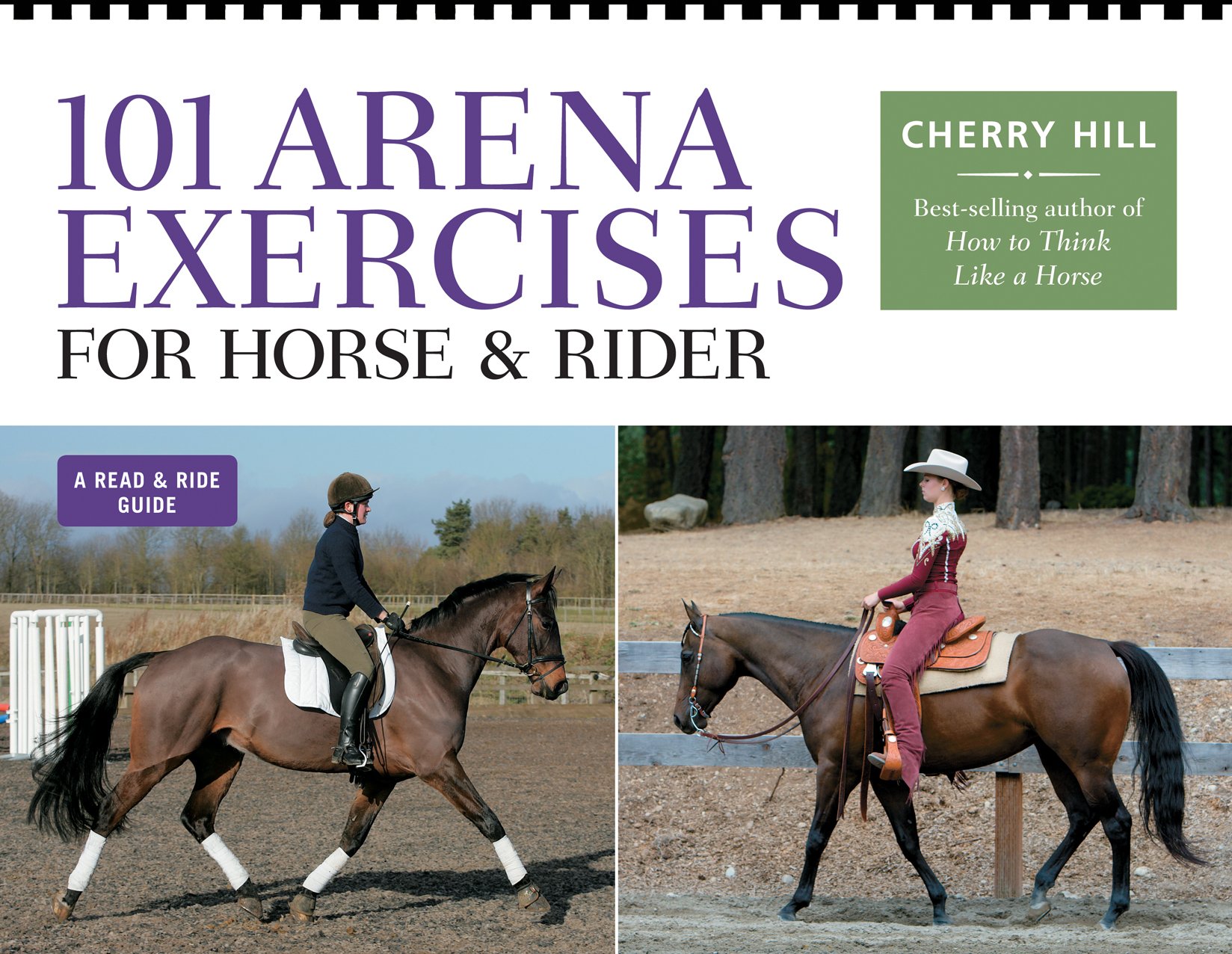 Algopix Similar Product 8 - 101 Arena Exercises for Horse  Rider