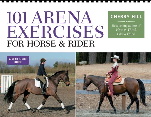 Algopix Similar Product 3 - 101 Arena Exercises for Horse  Rider