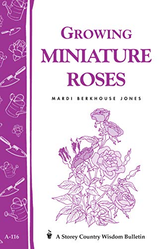 Algopix Similar Product 6 - Growing Miniature Roses Storeys