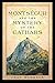 Algopix Similar Product 19 - Montségur and the Mystery of the Cathars