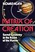 Algopix Similar Product 15 - Matrix of Creation Sacred Geometry in