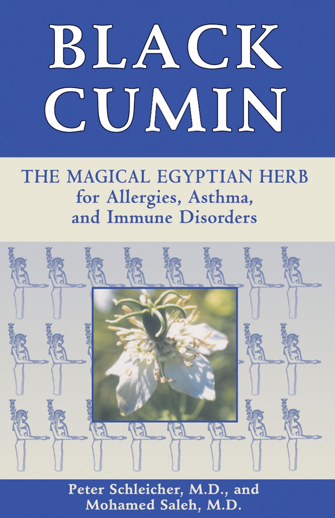 Algopix Similar Product 16 - Black Cumin The Magical Egyptian Herb