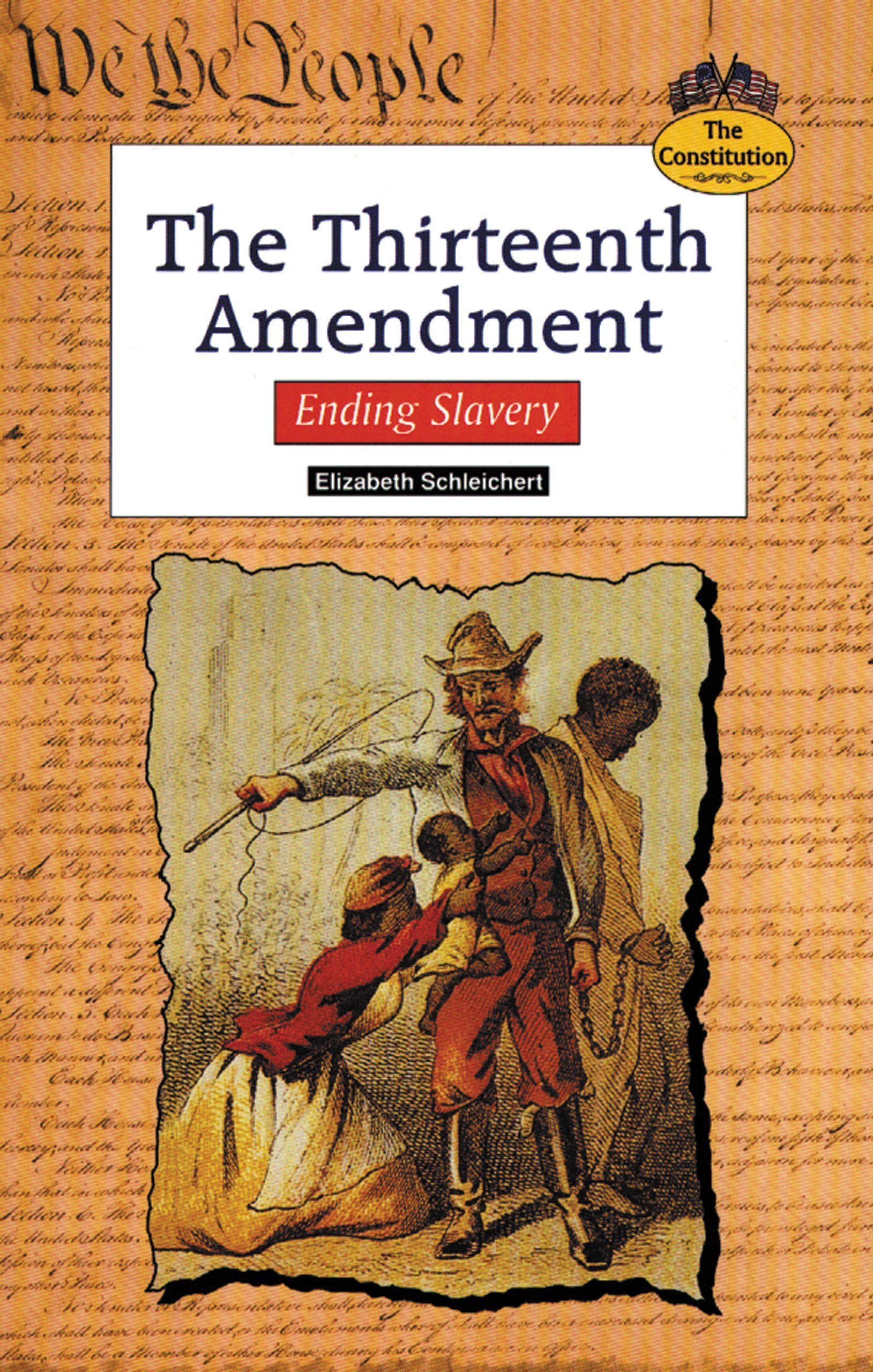 Algopix Similar Product 8 - The Thirteenth Amendment Ending
