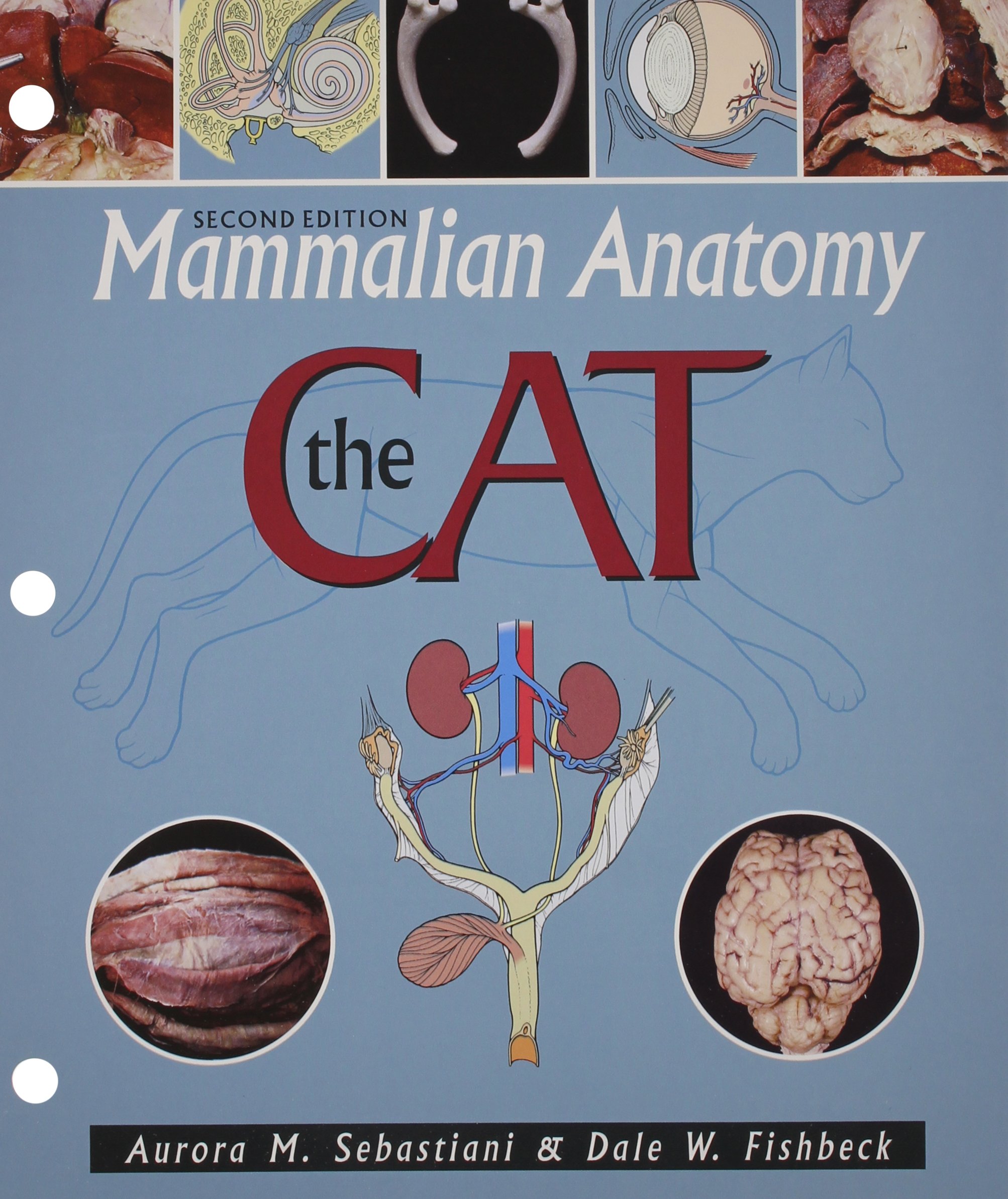 Algopix Similar Product 17 - Mammalian Anatomy: The Cat
