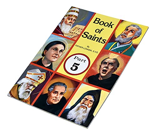 Algopix Similar Product 13 - Book of Saints Part 5 SuperHeroes