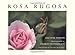 Algopix Similar Product 12 - Rosa Rugosa
