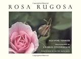 Algopix Similar Product 19 - Rosa Rugosa