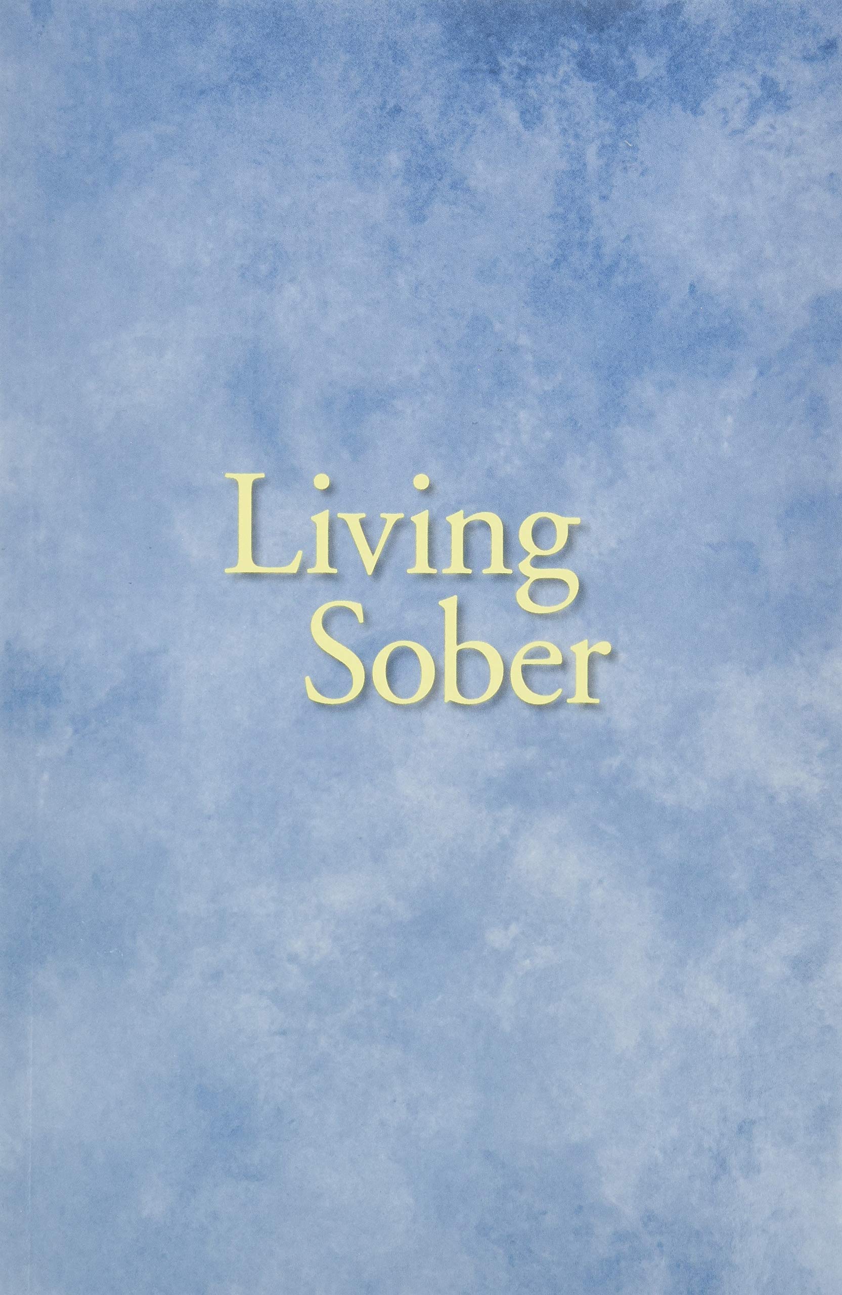 Algopix Similar Product 11 - Living Sober