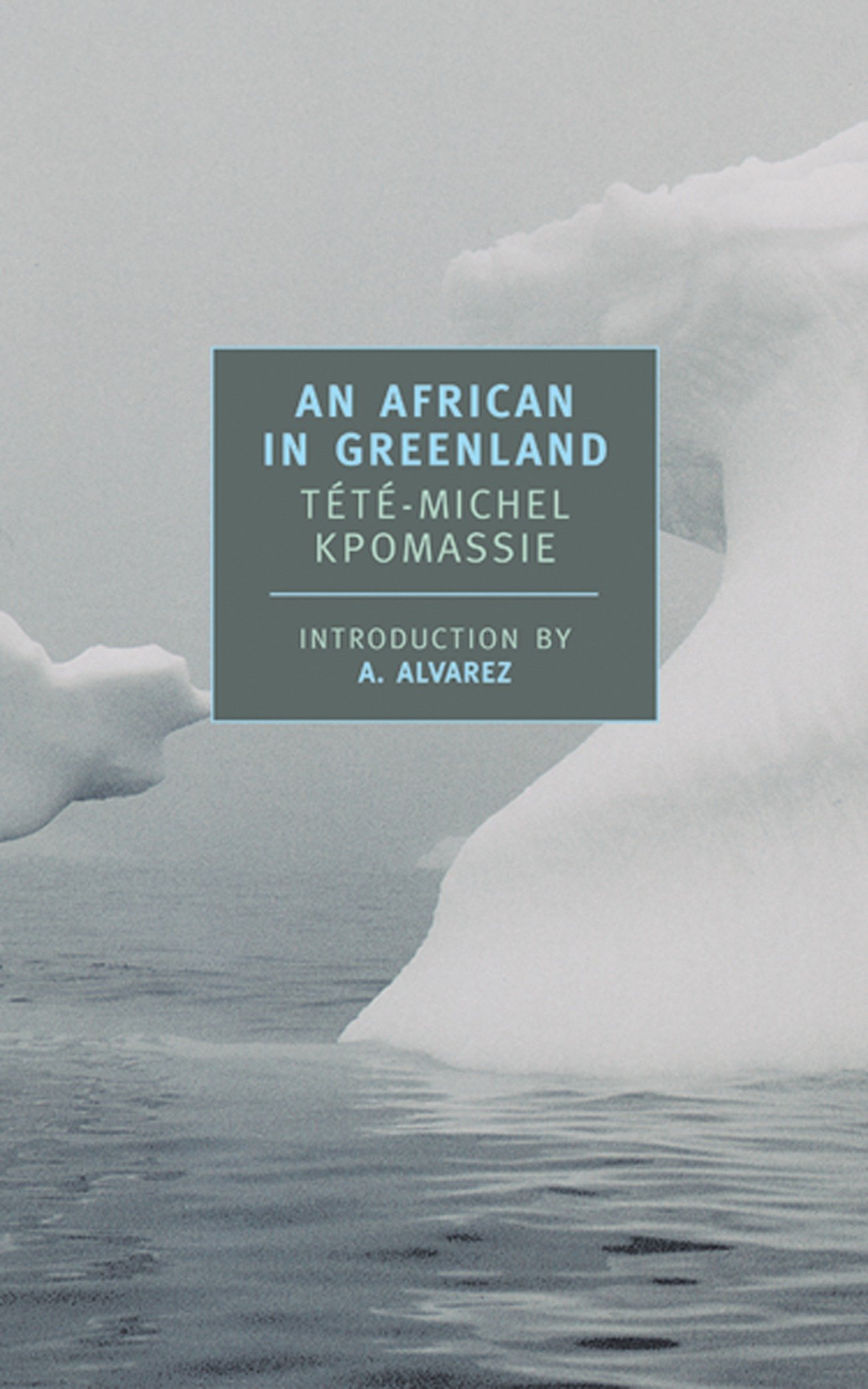 Algopix Similar Product 4 - An African in Greenland New York