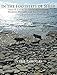 Algopix Similar Product 19 - In the Footsteps of Sheep Tales of a