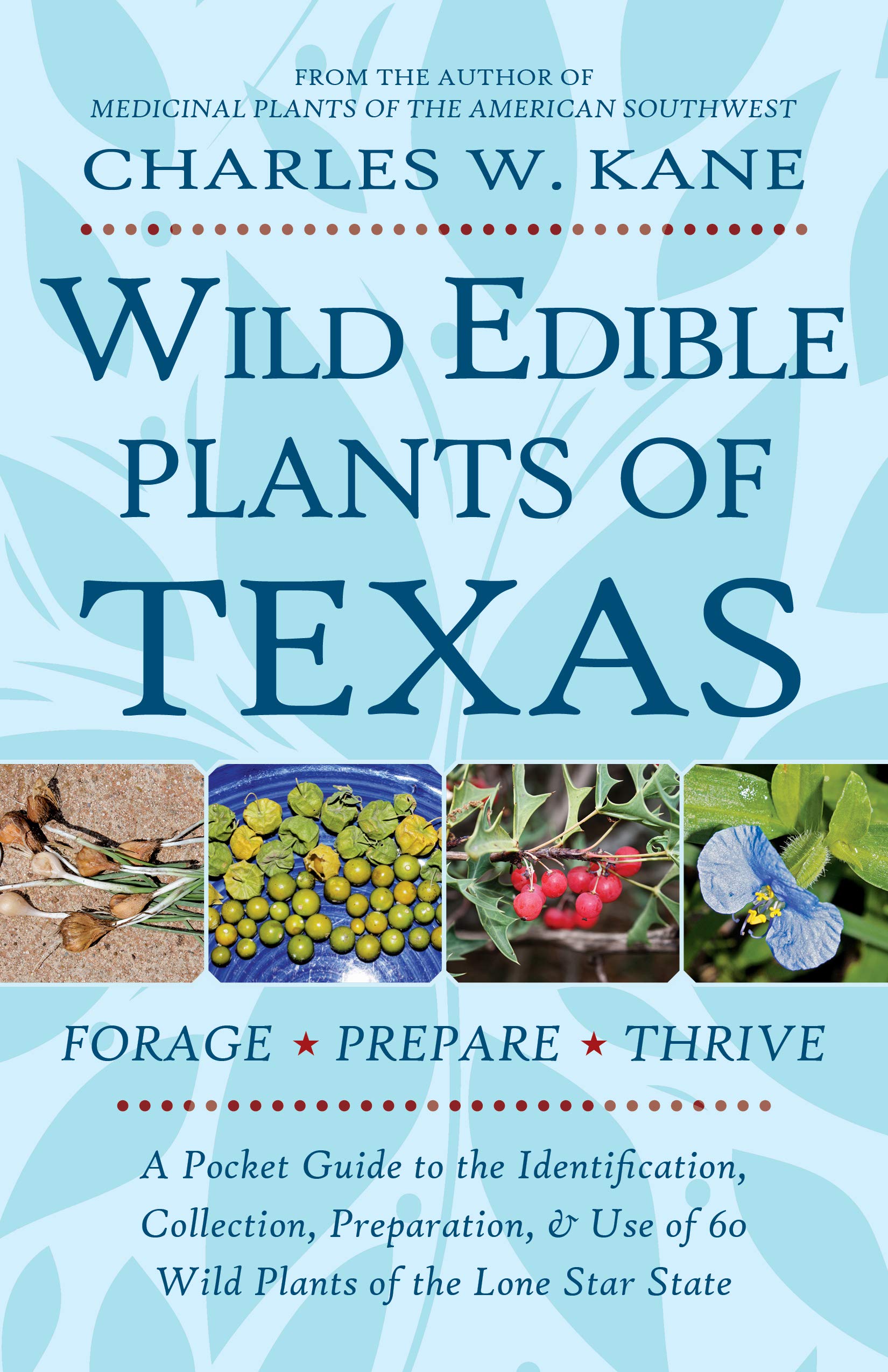 Algopix Similar Product 1 - Wild Edible Plants of Texas A Pocket