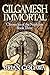 Algopix Similar Product 10 - Gilgamesh Immortal Chronicles of the