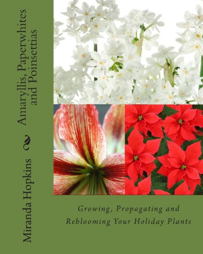 Algopix Similar Product 20 - Amaryllis Paperwhites and Poinsettias