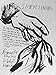 Algopix Similar Product 10 - Raymond Pettibon: To Wit