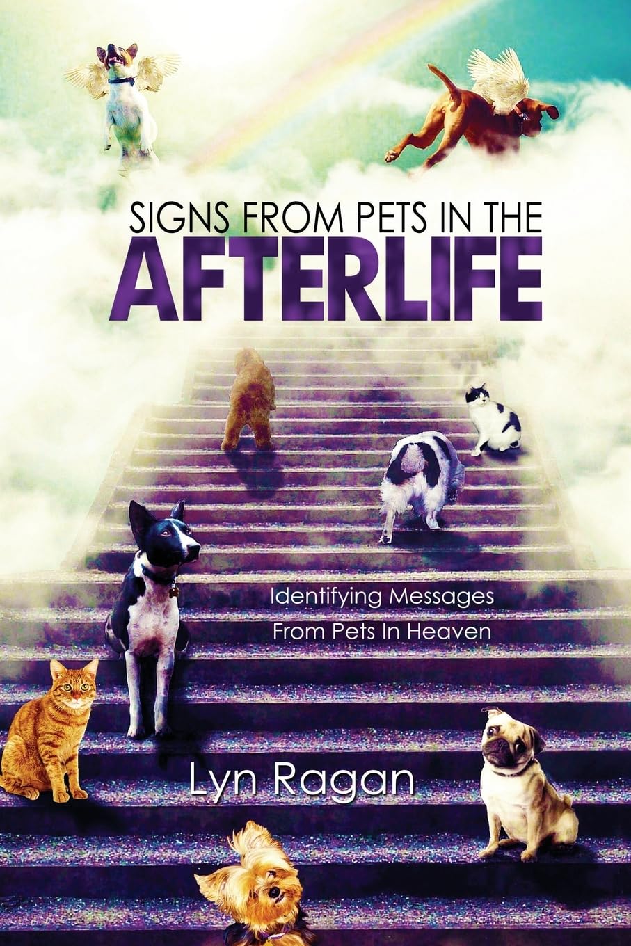 Algopix Similar Product 14 - Signs From Pets In The Afterlife