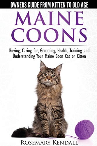 Algopix Similar Product 14 - Maine Coon Cats  The Owners Guide from
