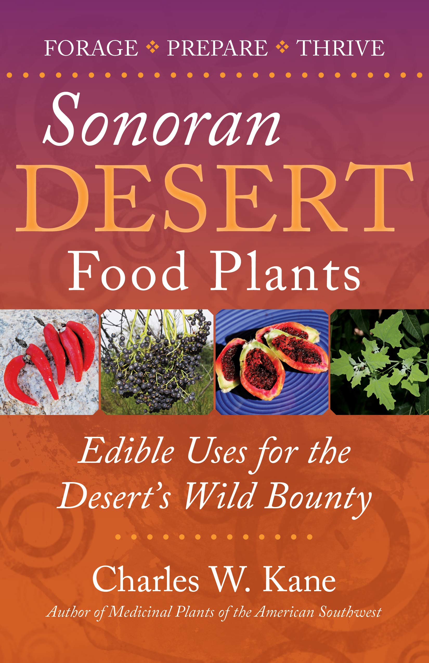 Algopix Similar Product 6 - Sonoran Desert Food Plants Edible Uses
