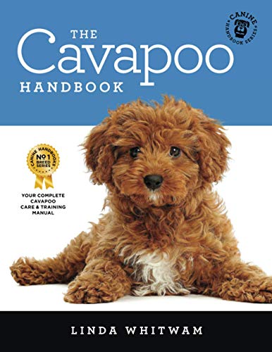 Algopix Similar Product 9 - The Cavapoo Handbook The Essential