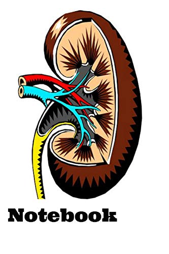 Algopix Similar Product 20 - Notebook Funny Anatomy Kidney