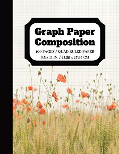 Algopix Similar Product 13 - Graph Paper Composition Graph paper