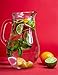 Algopix Similar Product 8 - Notebook Pitcher fruit drink juicy