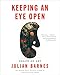 Algopix Similar Product 19 - Keeping an Eye Open Essays on Art