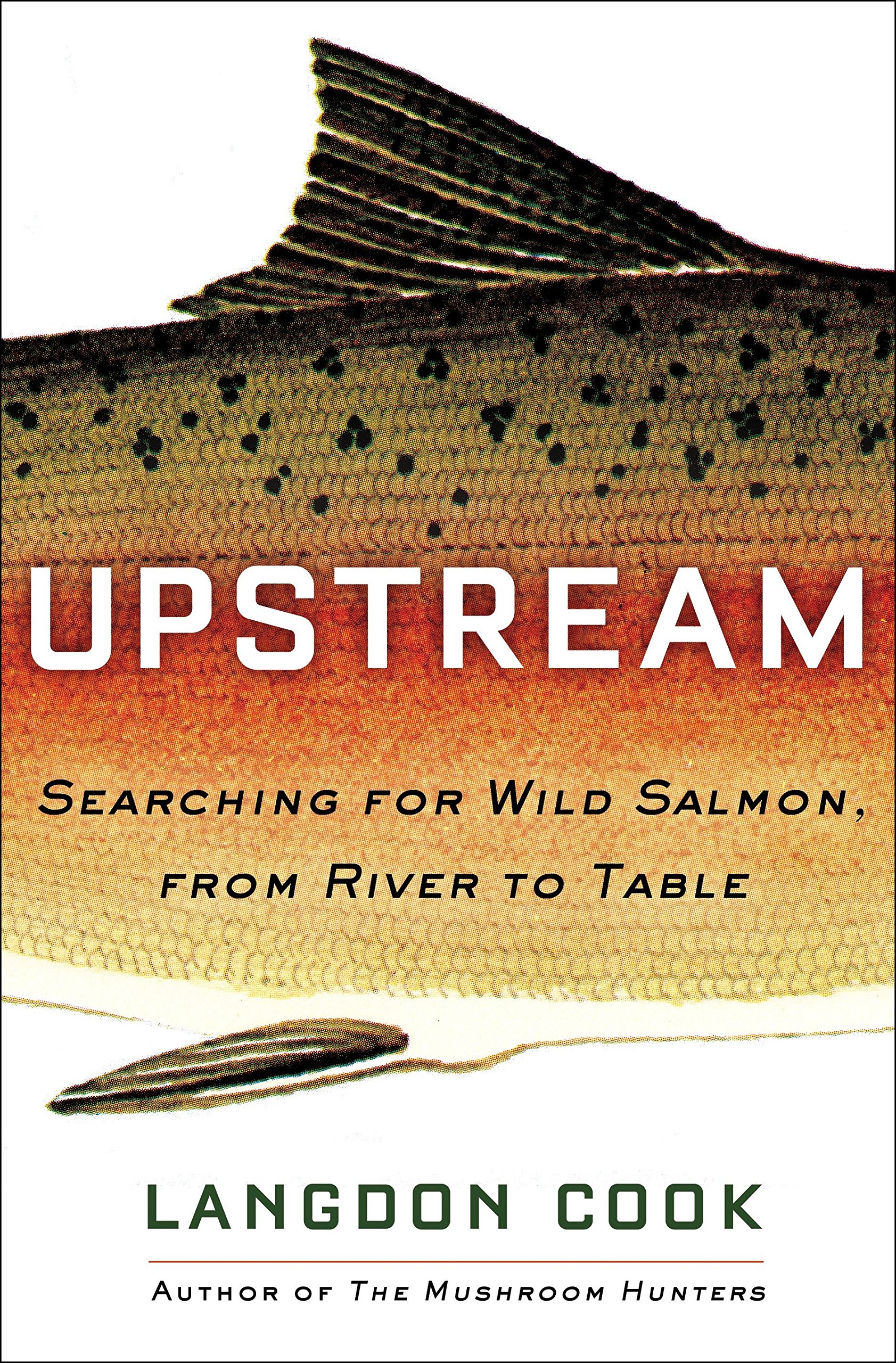 Algopix Similar Product 16 - Upstream Searching for Wild Salmon