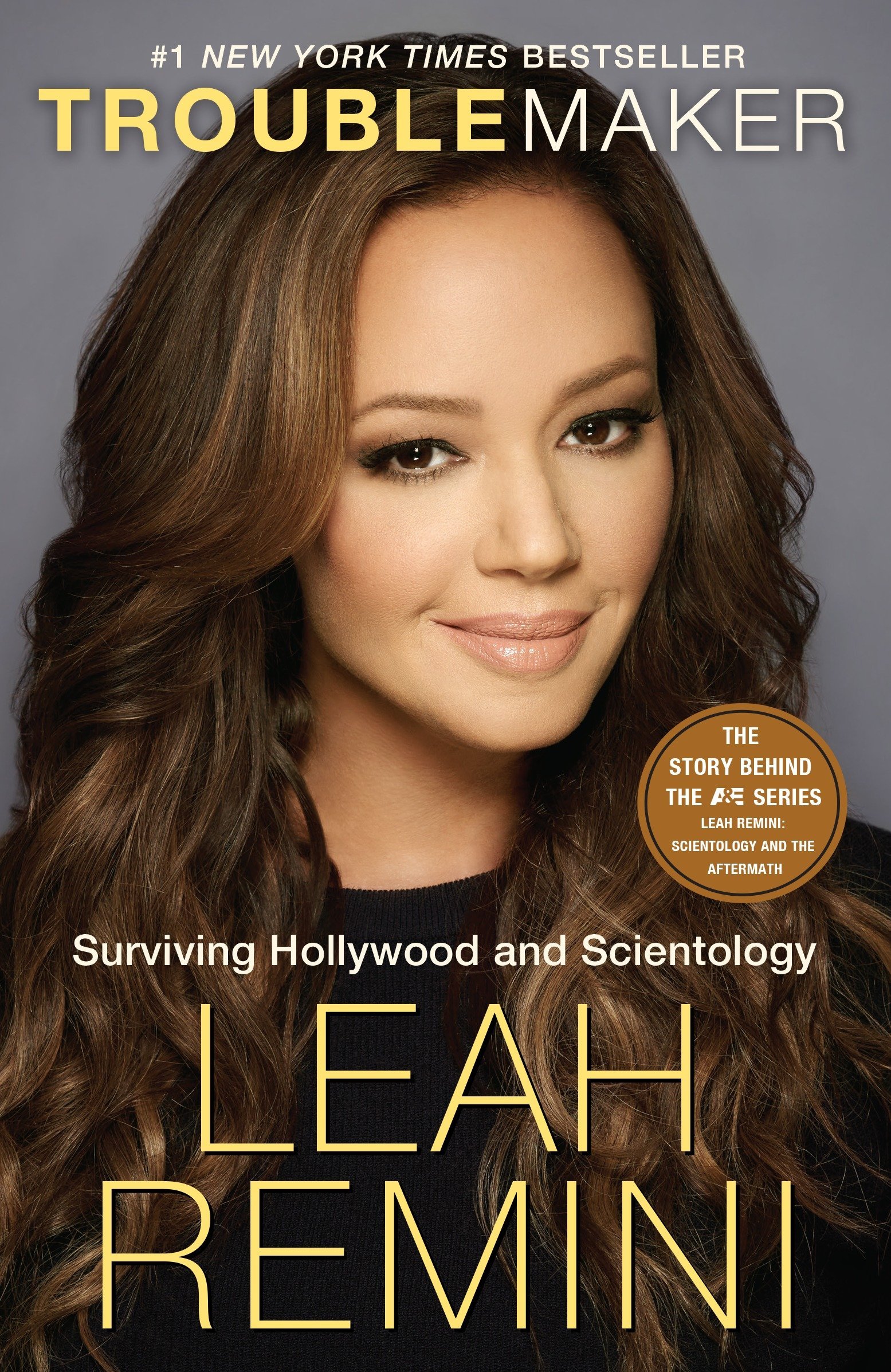 Algopix Similar Product 11 - Troublemaker Surviving Hollywood and