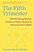Algopix Similar Product 18 - The Fifth Trimester The Working Moms
