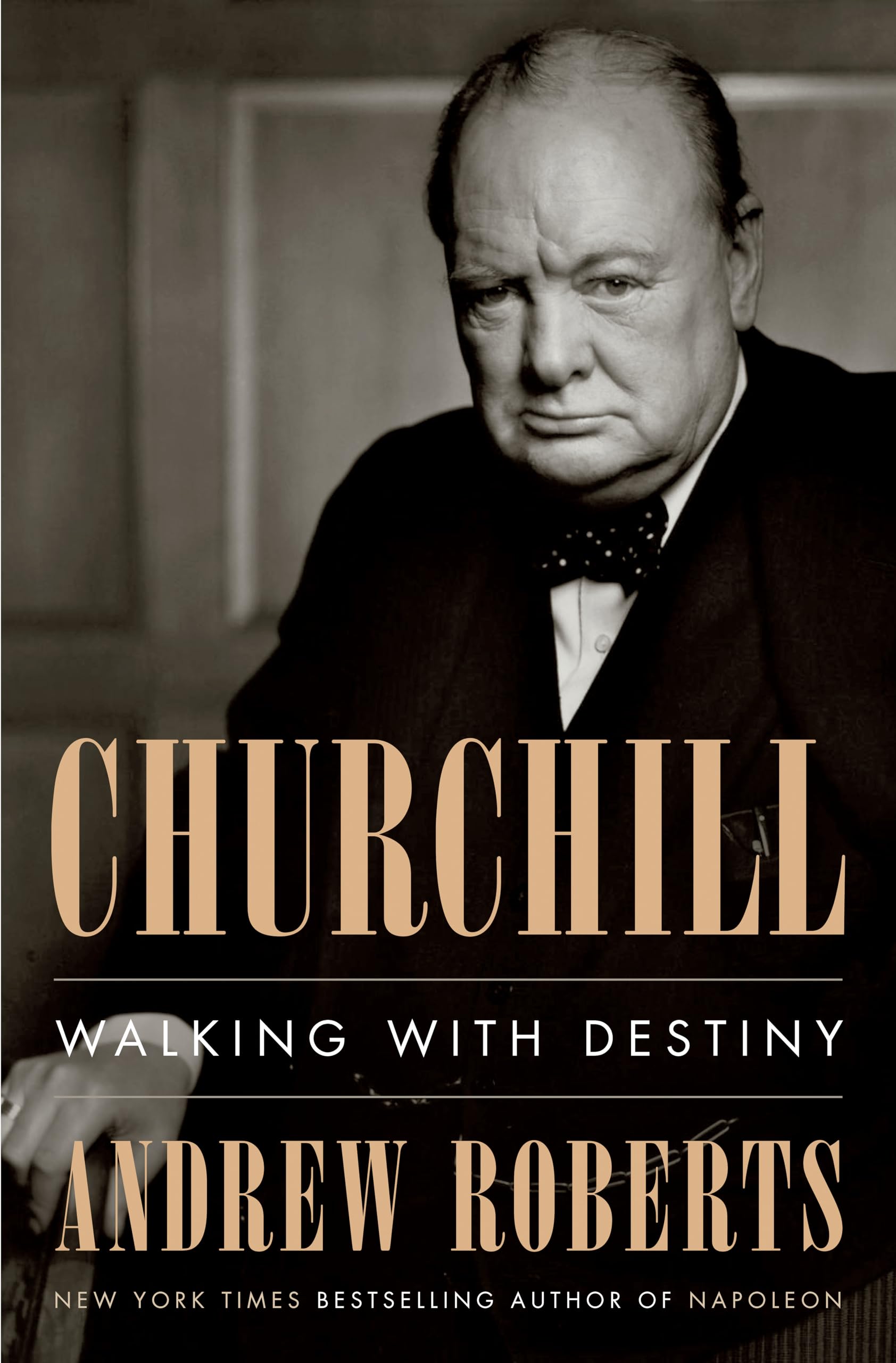 Algopix Similar Product 5 - Churchill: Walking with Destiny