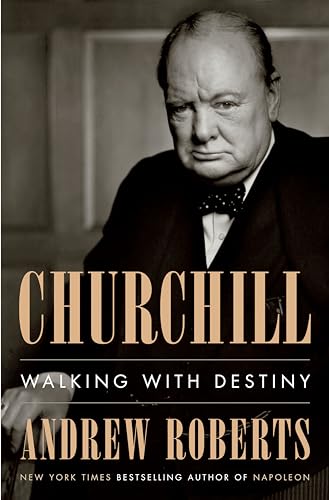 Algopix Similar Product 9 - Churchill: Walking with Destiny